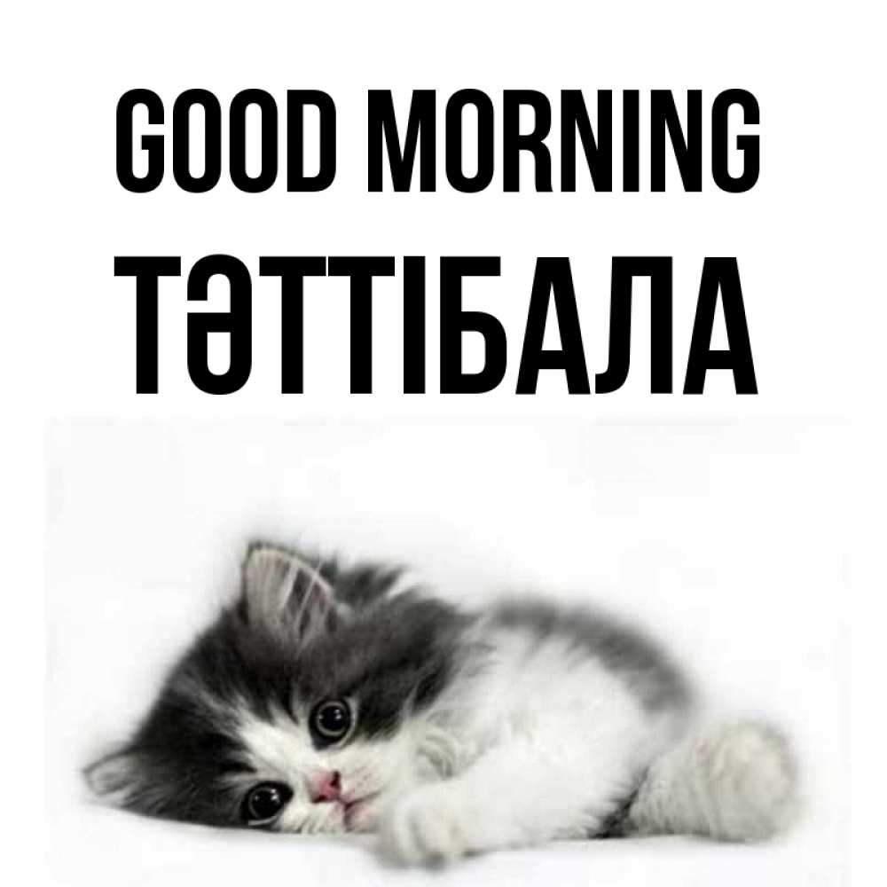 Greetings card с именем, ТӘТТІБАЛА Good morning кот лапки Greetings with text for free download 