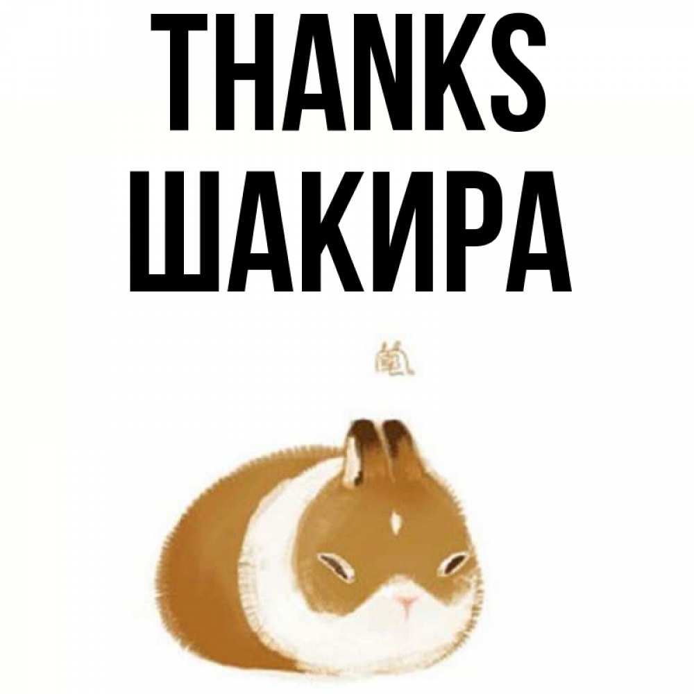 Greetings card с именем, Шакира Thanks коричнево белый домашний питомец Greetings with text for free download 