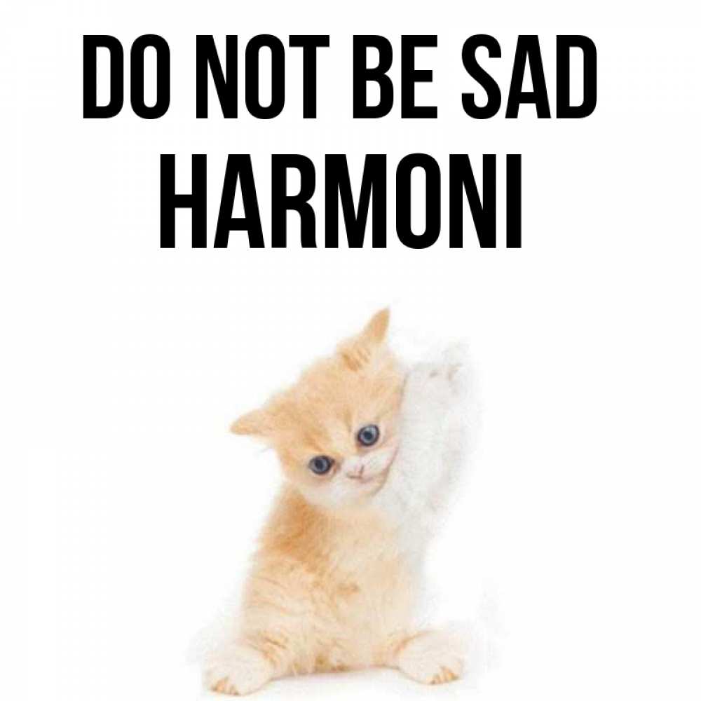 Greetings card с именем, Harmoni Do not be sad просящий кот Greetings with text for free download 