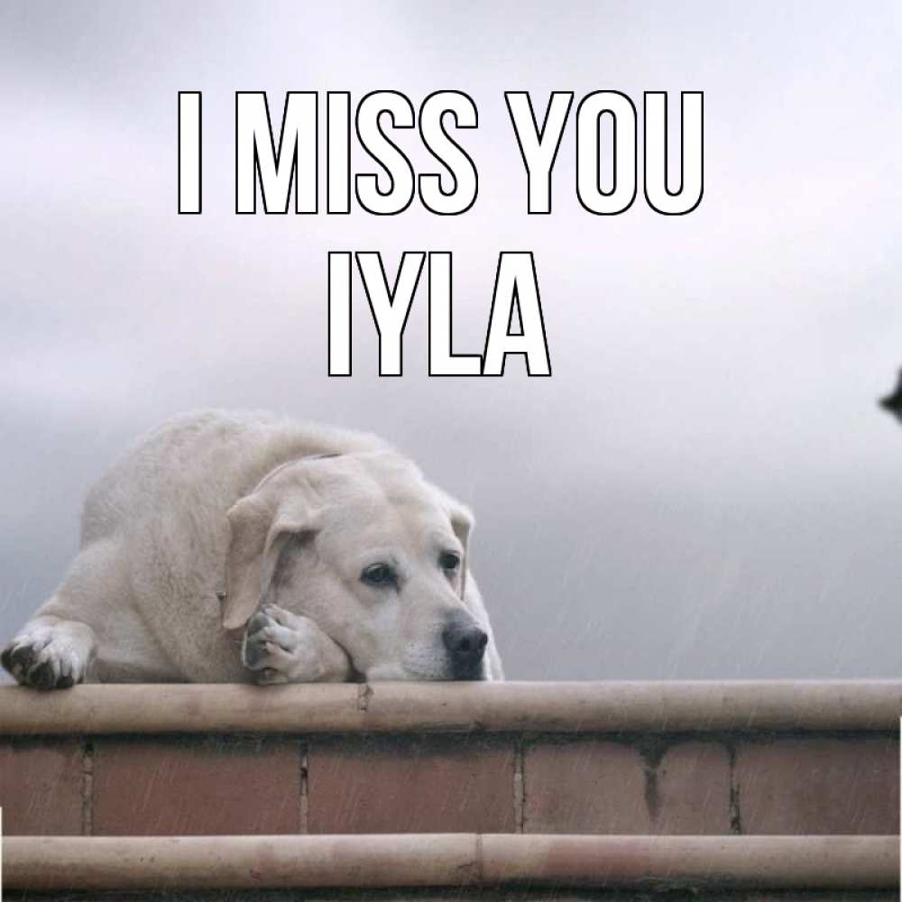 Greetings card с именем, Iyla I miss you ждет Greetings with text for free download 