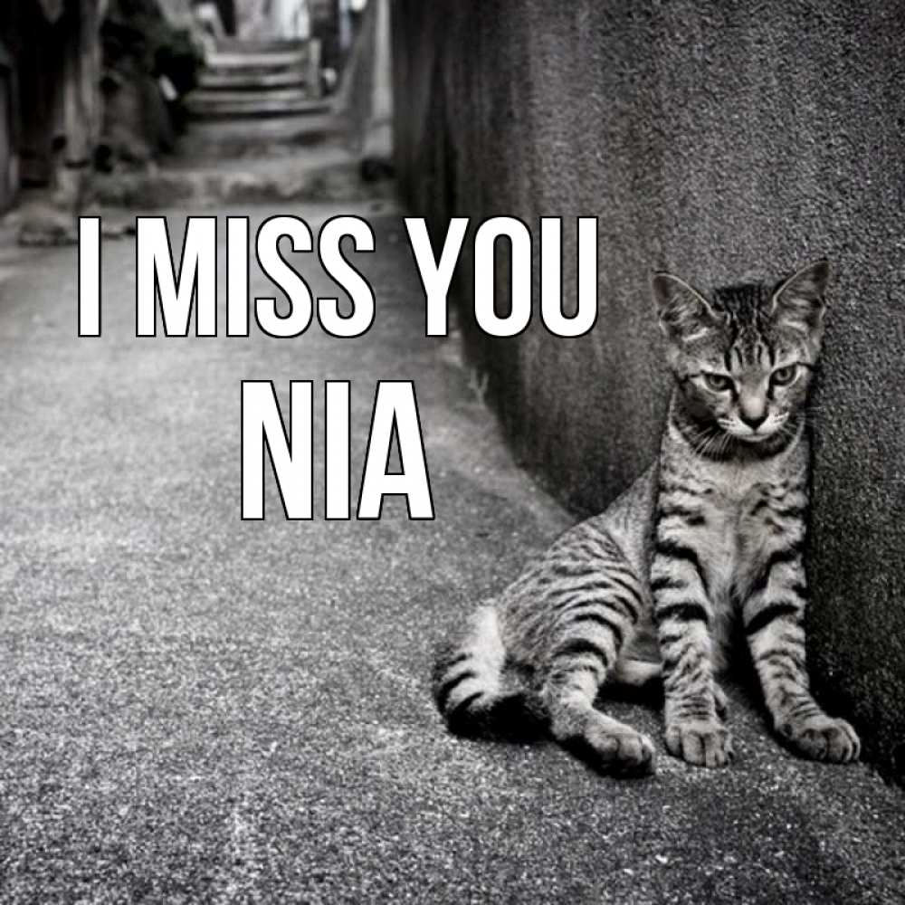 Greetings card с именем, Nia I miss you одиноко котику Greetings with text for free download 