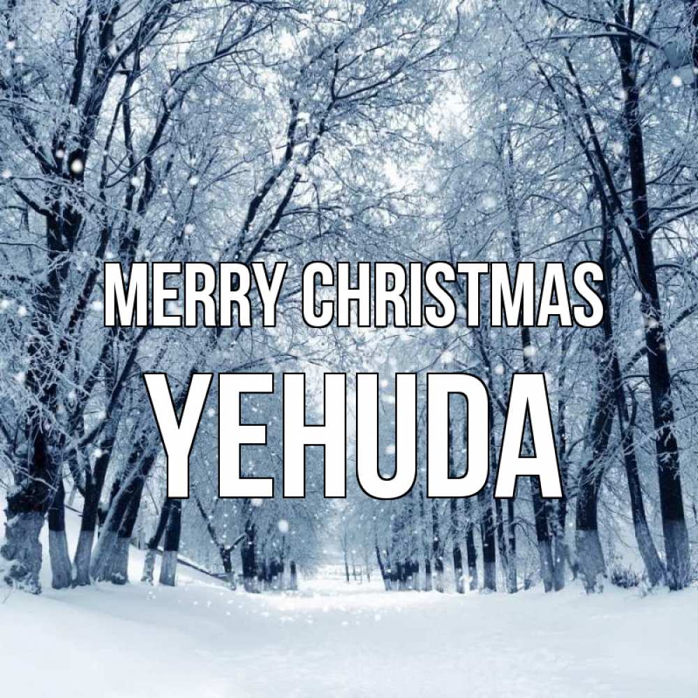 Greetings card с именем, Yehuda Merry Christmas снег, лес, парк Greetings with text for free download 