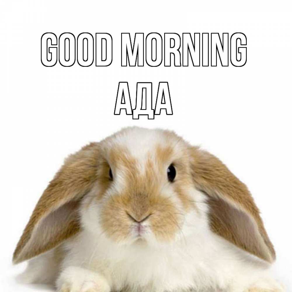 Greetings card с именем, Ада Good morning прикольные открытки на каждый день Greetings with text for free download 