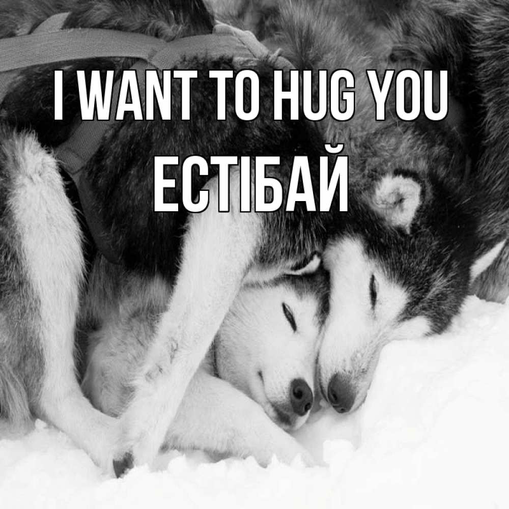 Greetings card с именем, Естібай I want to hug you собачки в упряжке Greetings with text for free download 