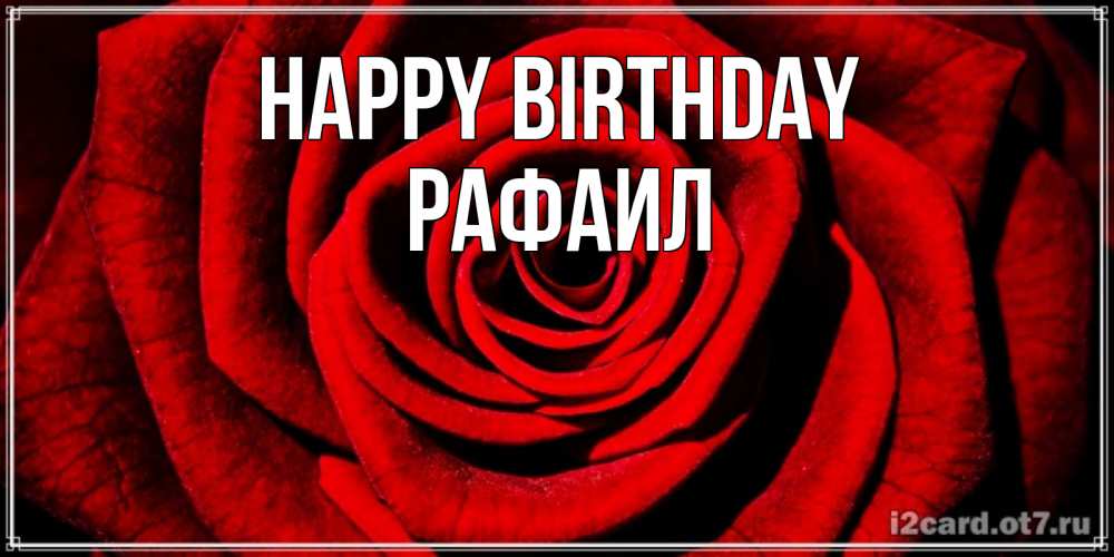 Greetings card с именем, Рафаил Happy Birthday алая роза Greetings with text for free download 