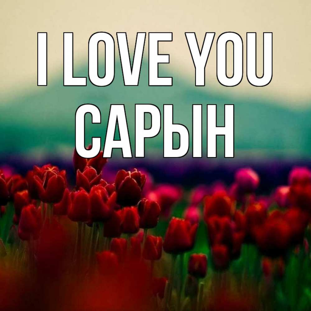 Greetings card с именем, САРЫН I love you тюльпаны 4 Greetings with text for free download 
