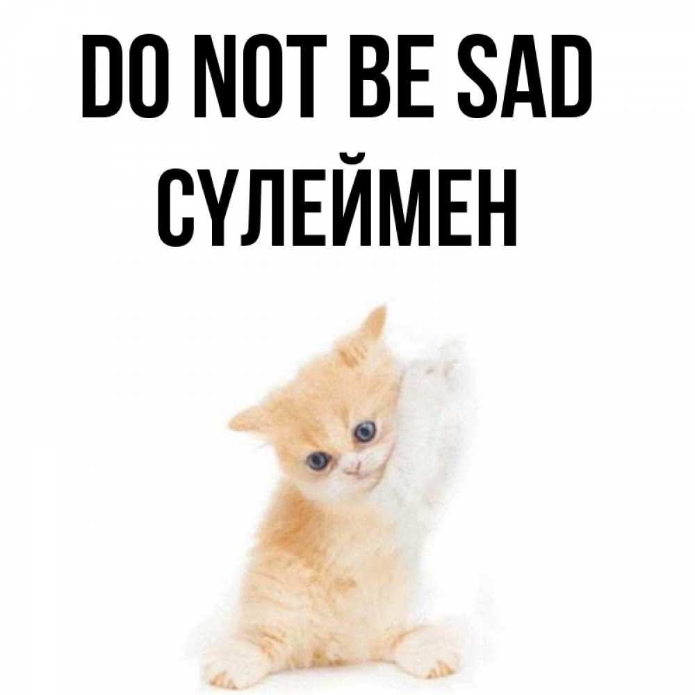 Greetings card с именем, СҮЛЕЙМЕН Do not be sad просящий кот Greetings with text for free download 