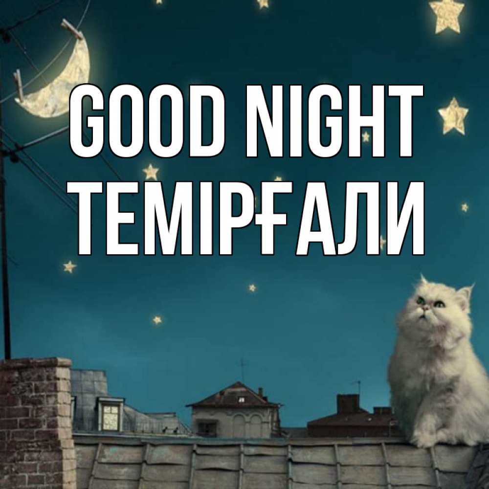 Greetings card с именем, ТЕМІРҒАЛИ Good night белый кот сидит на крыше Greetings with text for free download 
