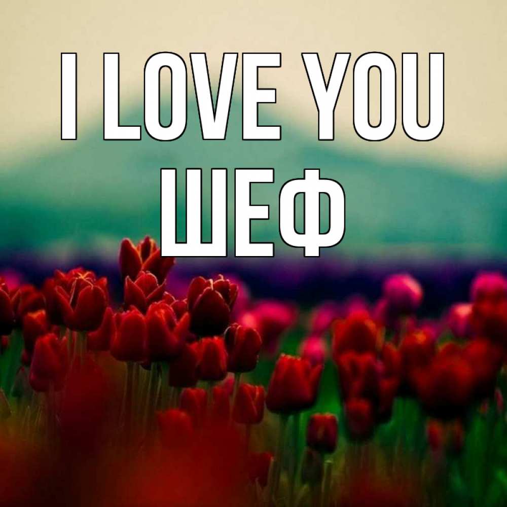 Greetings card с именем, Шеф I love you тюльпаны 4 Greetings with text for free download 