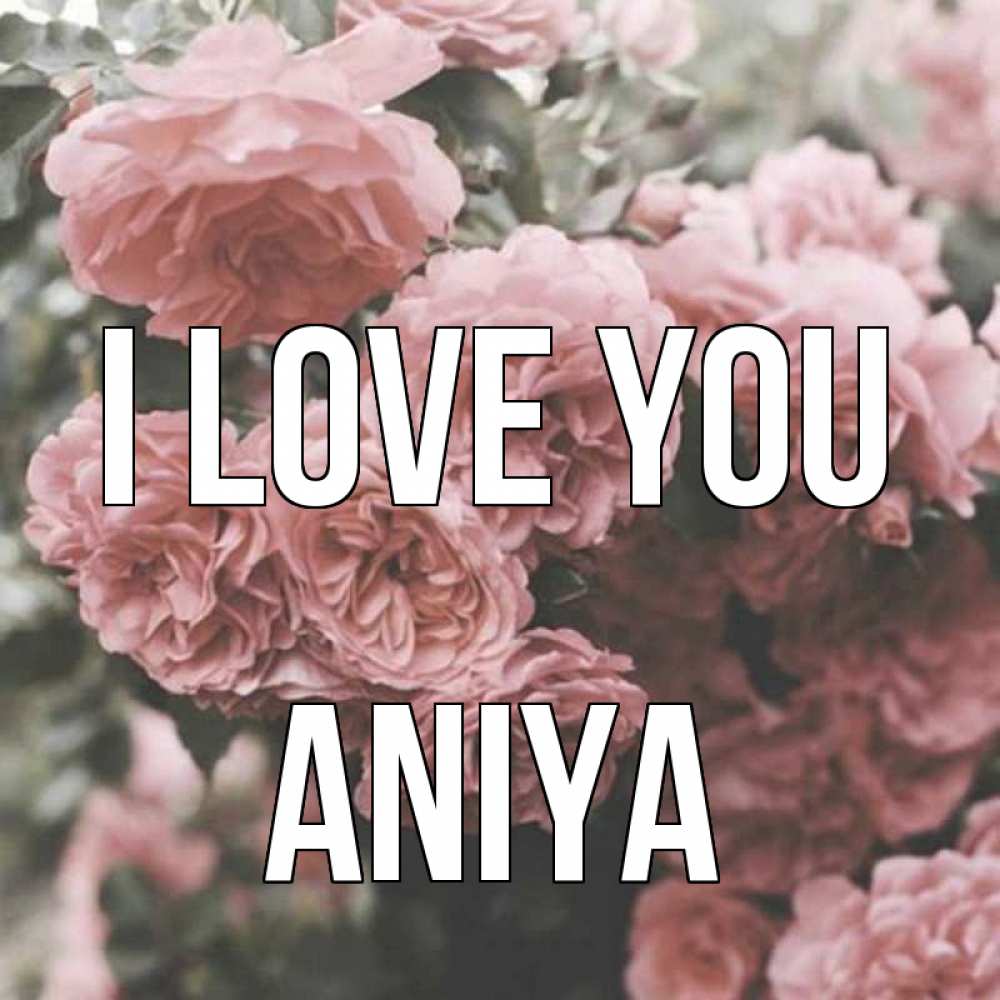 Greetings card с именем, Aniya I love you розы 3 Greetings with text for free download 