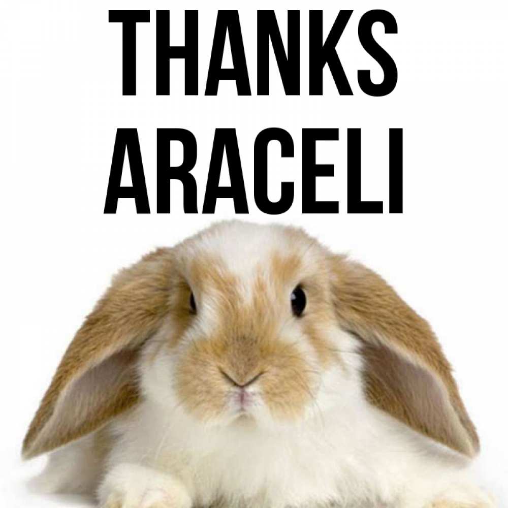 Greetings card с именем, Araceli Thanks коричнево белый заяц Greetings with text for free download 
