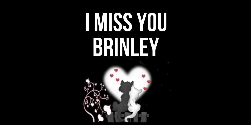 Greetings card с именем, Brinley I miss you коты Greetings with text for free download 