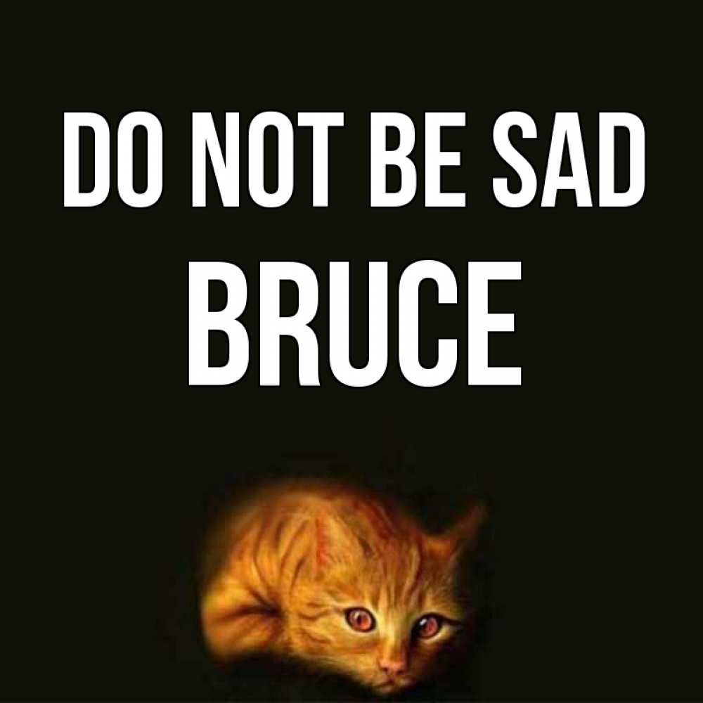 Greetings card с именем, Bruce Do not be sad лежащий кот в темноте Greetings with text for free download 