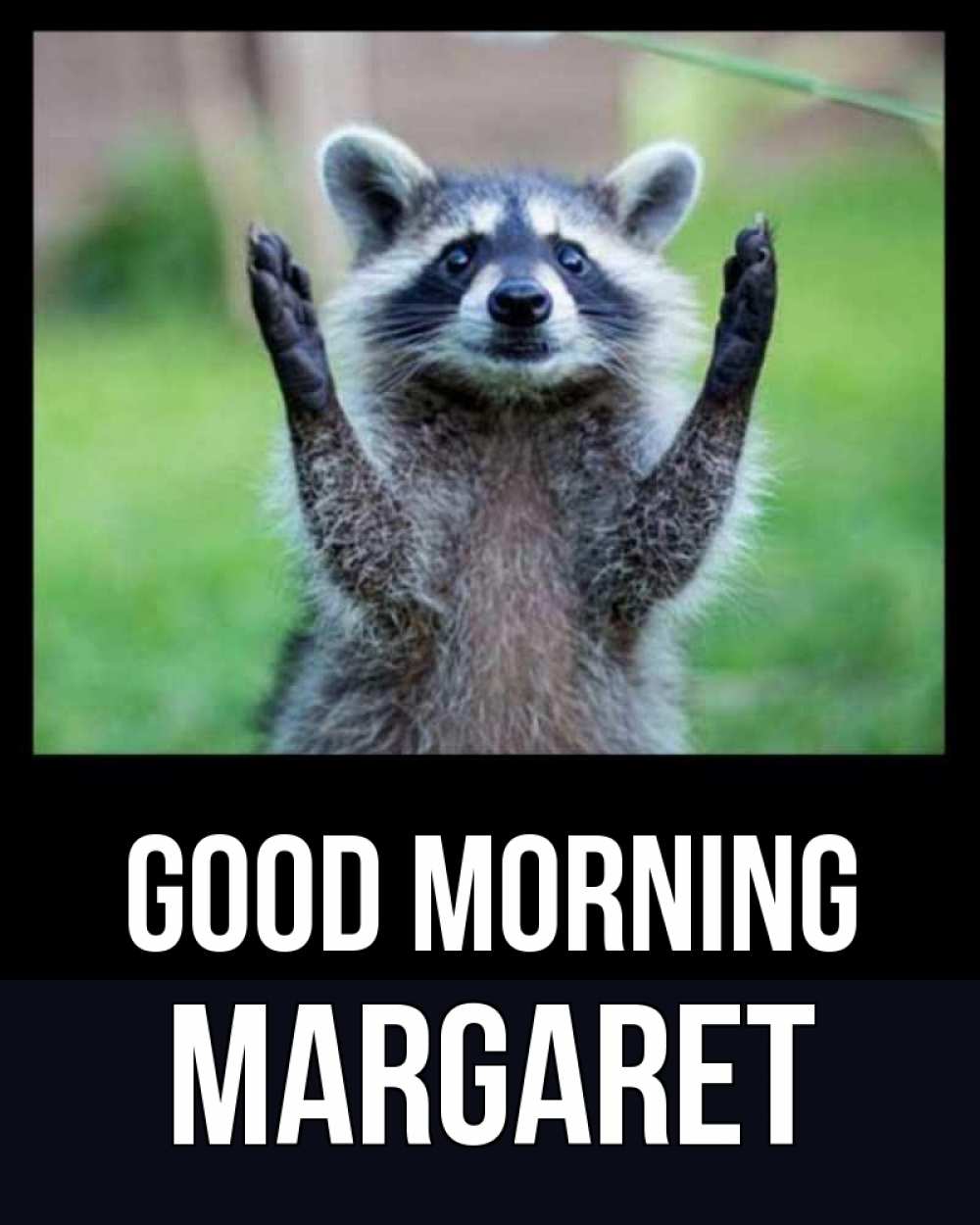 Greetings card с именем, Margaret Good morning хорошее настроение утречком Greetings with text for free download 