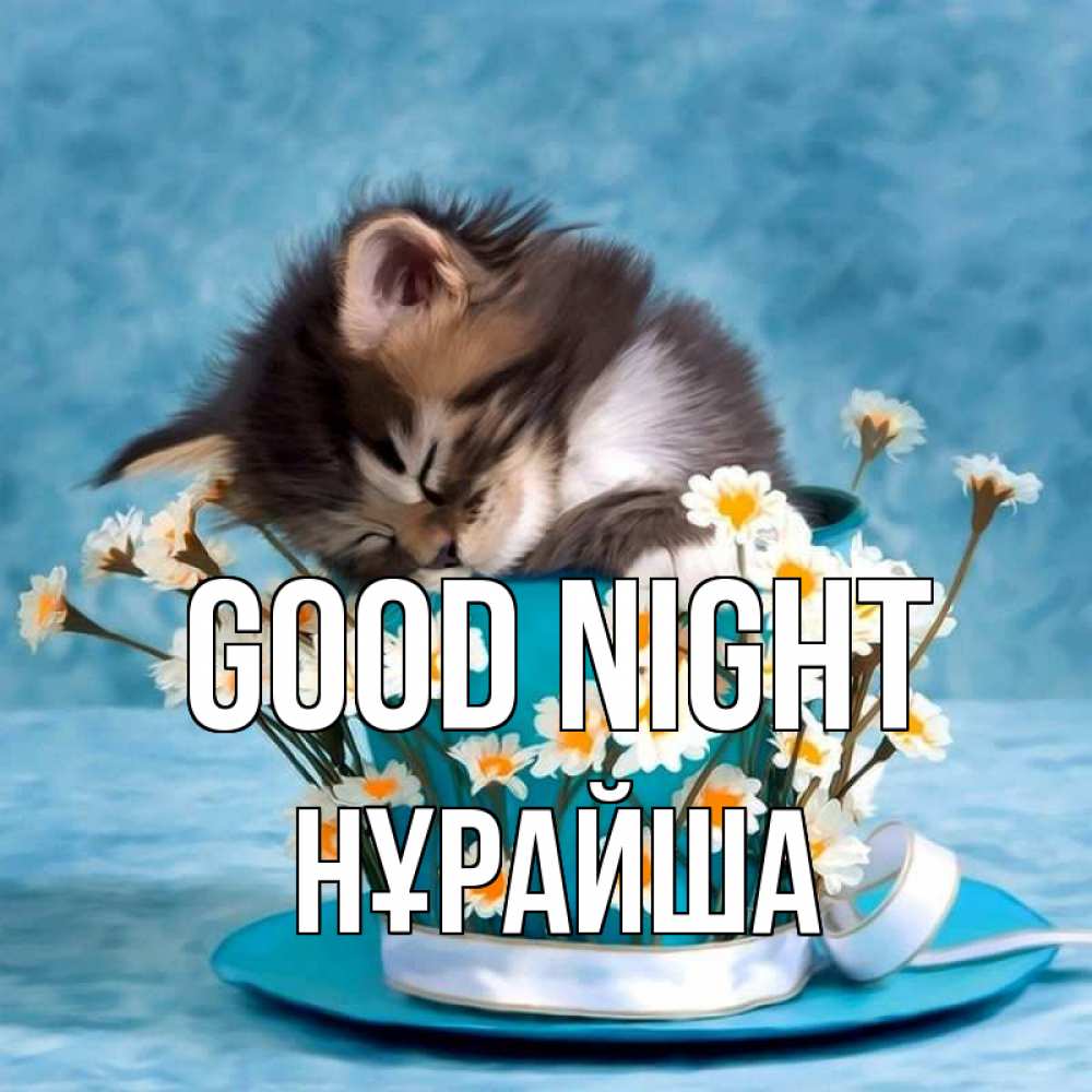 Greetings card с именем, НҰРАЙША Good night котенок спит в кружке с блюдцем Greetings with text for free download 