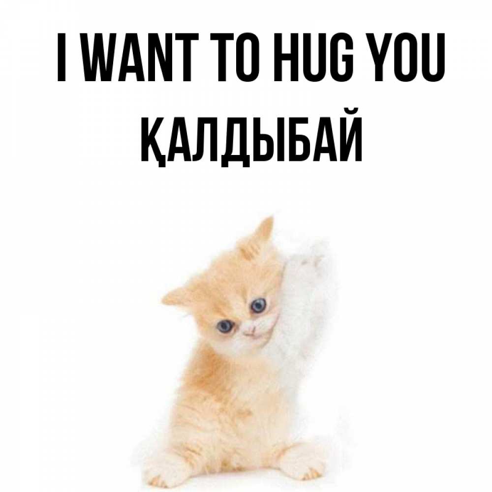Greetings card с именем, Қалдыбай I want to hug you я хочу очень скорее обнимаешек Greetings with text for free download 