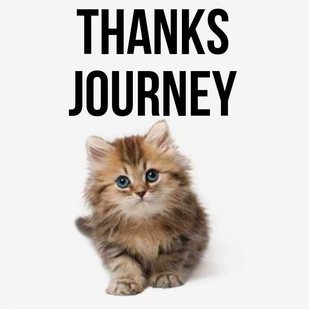 Greetings card с именем, Journey Thanks пушистый котик Greetings with text for free download 