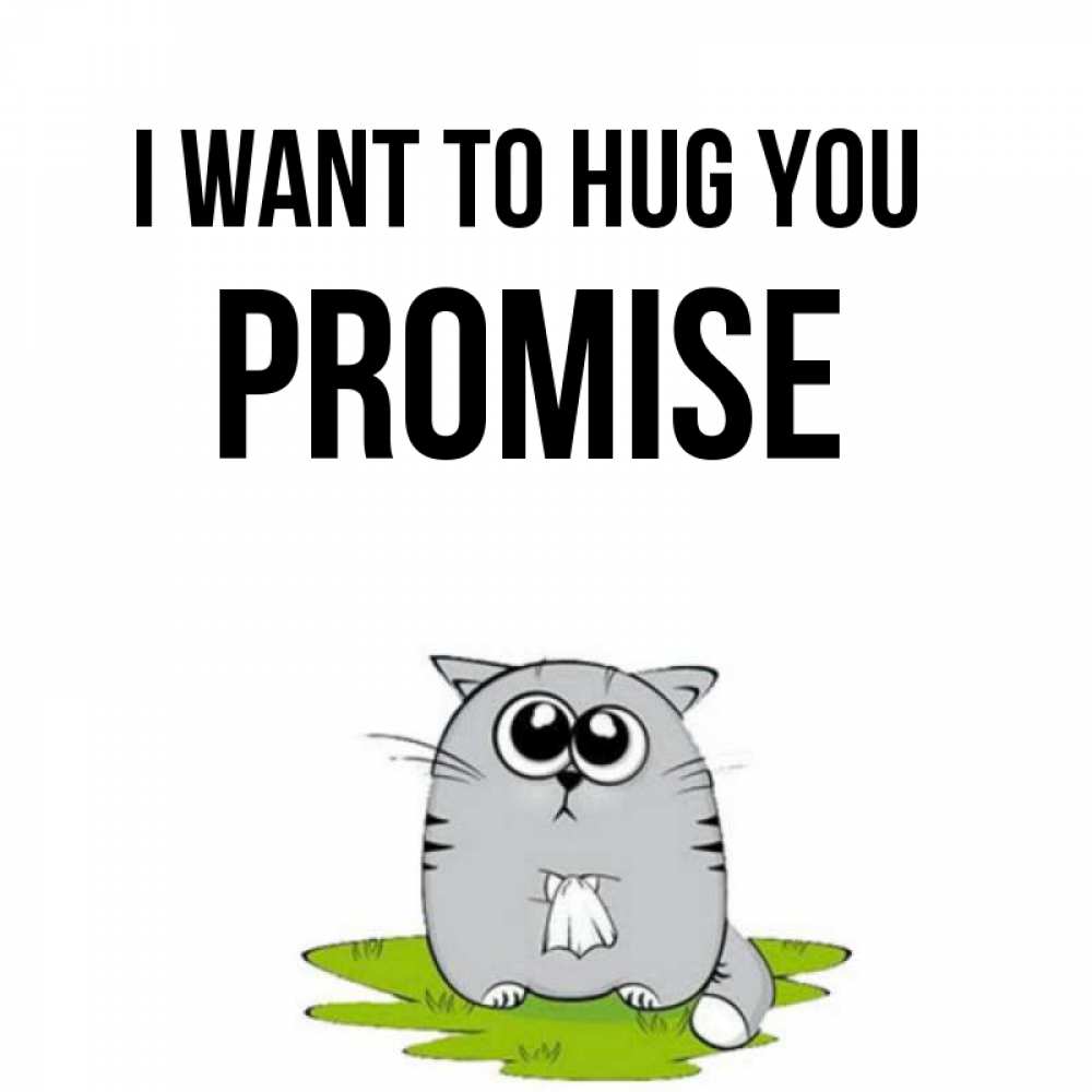 Greetings card с именем, Promise I want to hug you котик теребит платочек сидя на травке Greetings with text for free download 