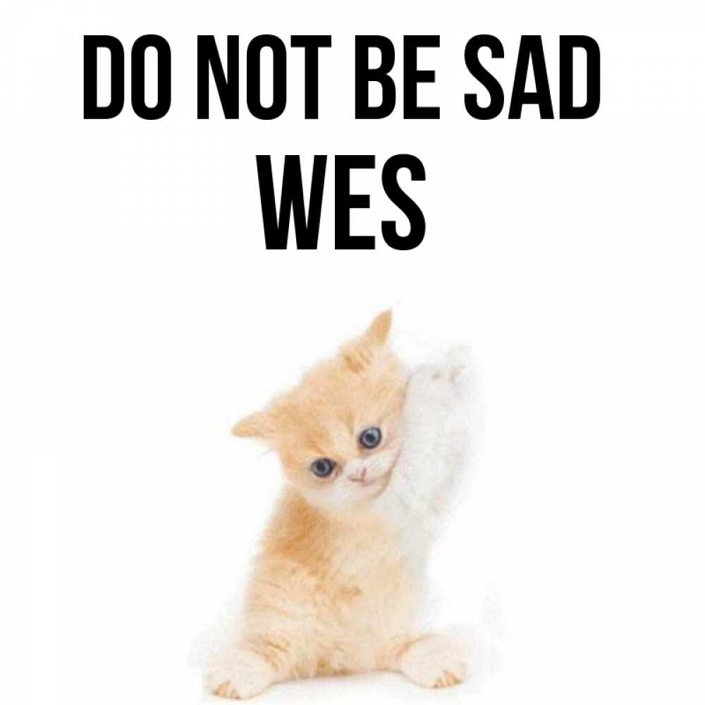 Greetings card с именем, Wes Do not be sad просящий кот Greetings with text for free download 