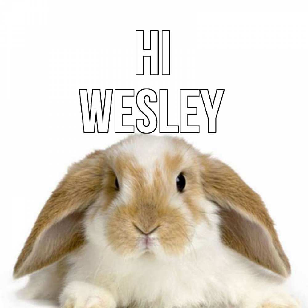 Greetings card с именем, Wesley Hi с животными Greetings with text for free download 