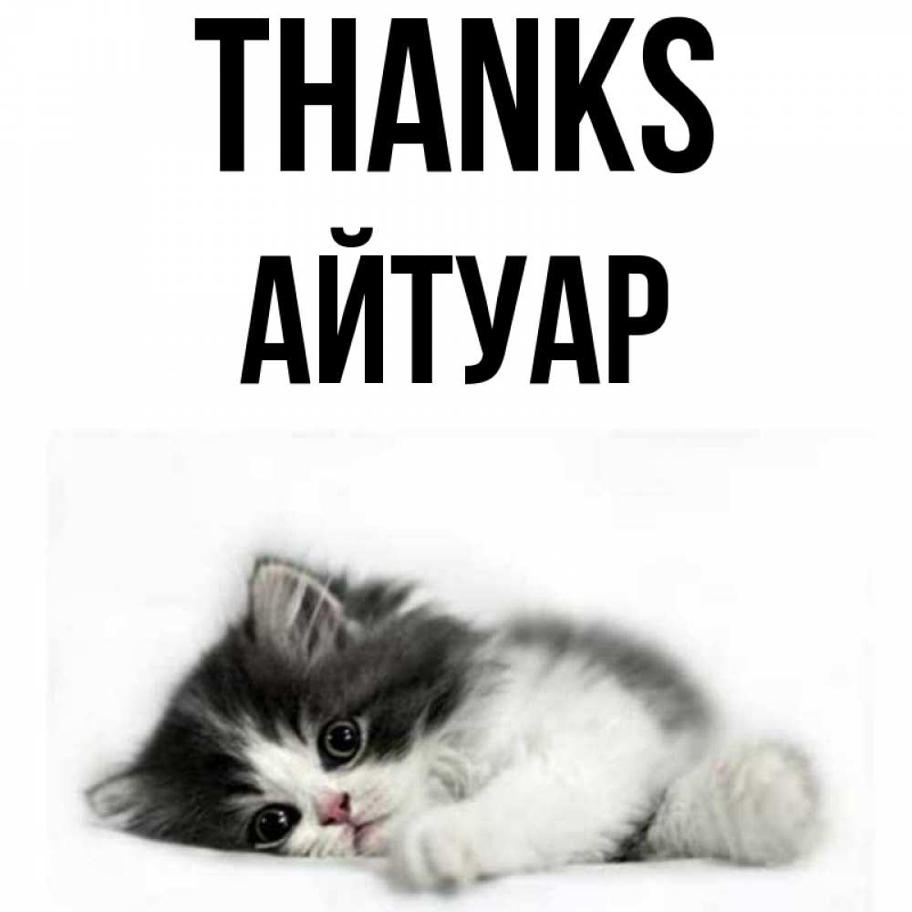Greetings card с именем, Айтуар Thanks черный и белый кот Greetings with text for free download 