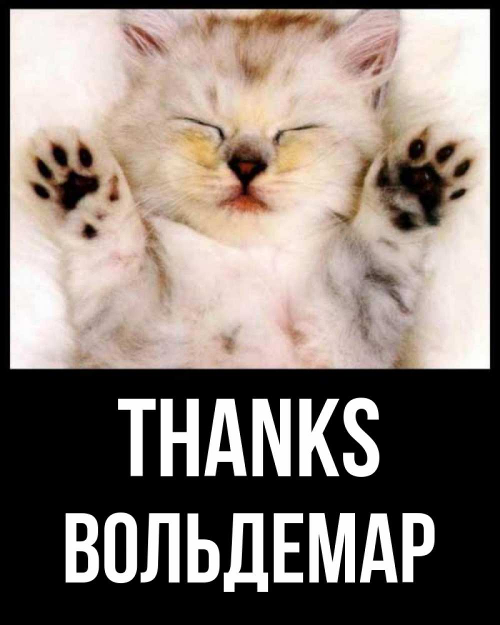 Greetings card с именем, Вольдемар Thanks маленький котенок Greetings with text for free download 