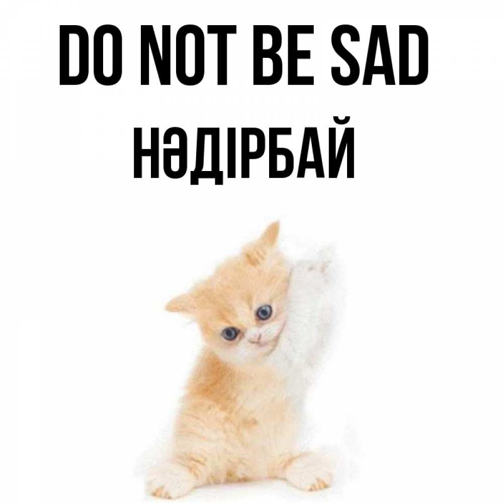Greetings card с именем, НӘДІРБАЙ Do not be sad просящий кот Greetings with text for free download 