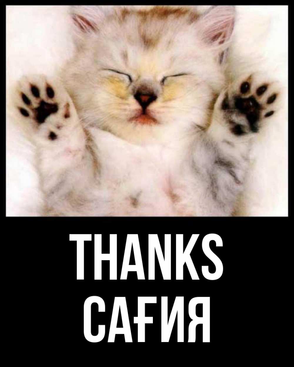 Greetings card с именем, САҒИЯ Thanks маленький котенок Greetings with text for free download 