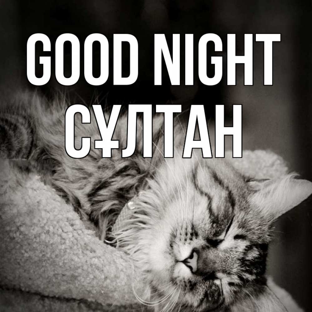 Greetings card с именем, СҰЛТАН Good night котярик пушистый Greetings with text for free download 