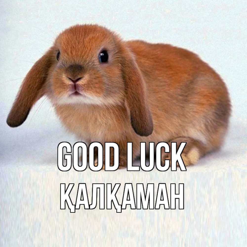 Greetings card с именем, Қалқаман Good luck вставить текст в открытку по выбору Greetings with text for free download 
