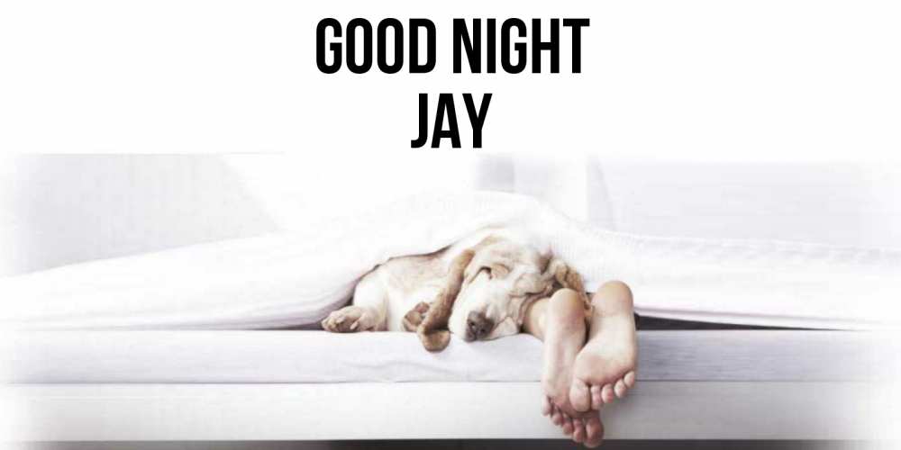 Greetings card с именем, Jay Good night кровать с собакой пожелание сладких снов и спокойной ночи Greetings with text for free download 