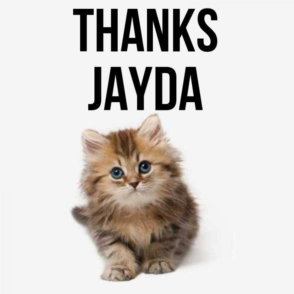 Greetings card с именем, Jayda Thanks пушистый котик Greetings with text for free download 