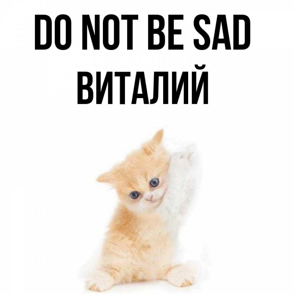 Greetings card с именем, Виталий Do not be sad просящий кот Greetings with text for free download 
