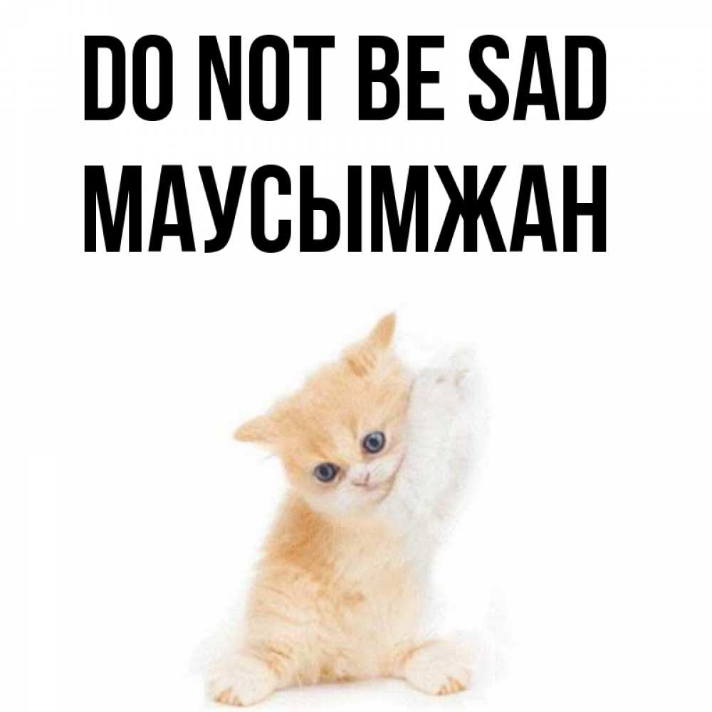 Greetings card с именем, МАУСЫМЖАН Do not be sad просящий кот Greetings with text for free download 