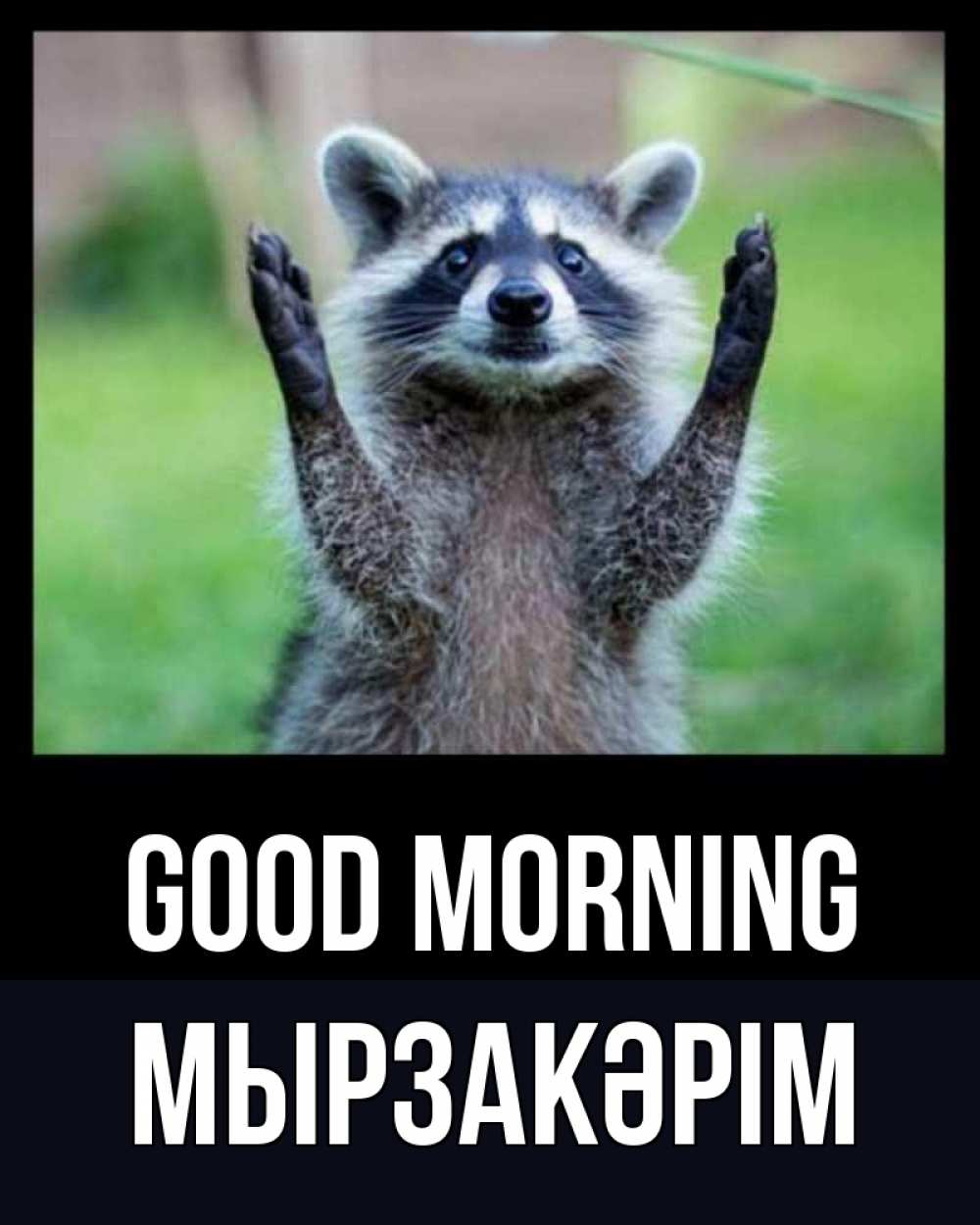 Greetings card с именем, Мырзакәрім Good morning хорошее настроение утречком Greetings with text for free download 