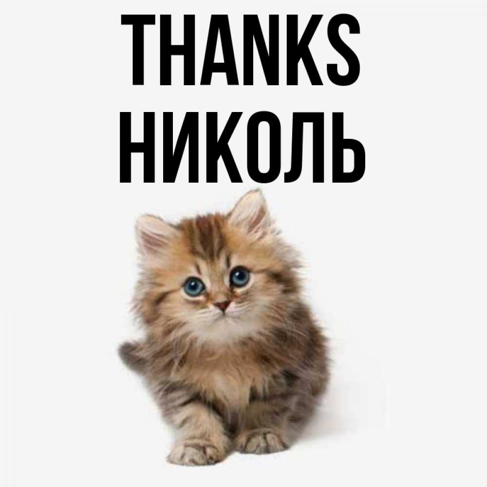 Greetings card с именем, Николь Thanks пушистый котик Greetings with text for free download 