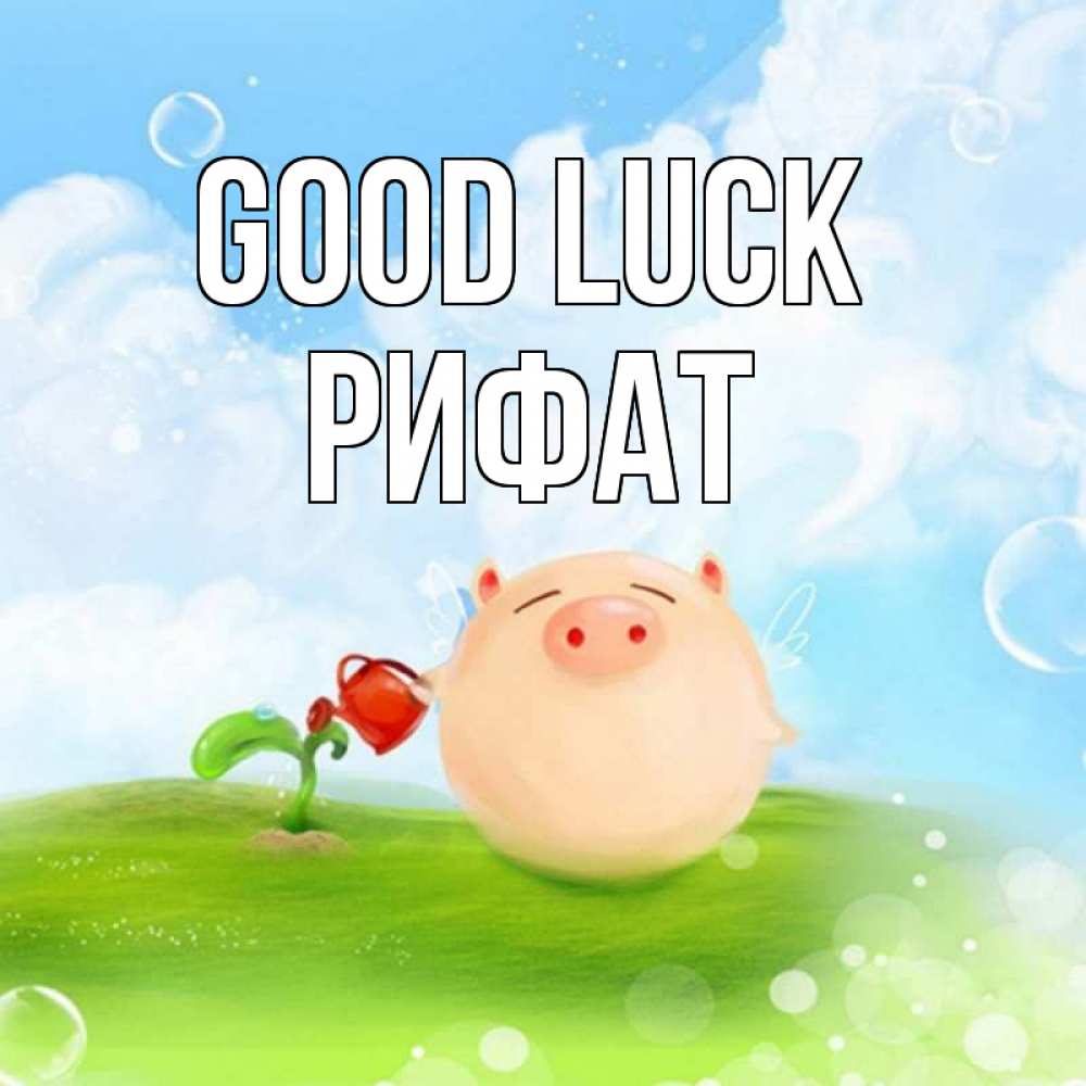 Greetings card с именем, Рифат Good luck поросенок поливает цветок. летнее настроение Greetings with text for free download 