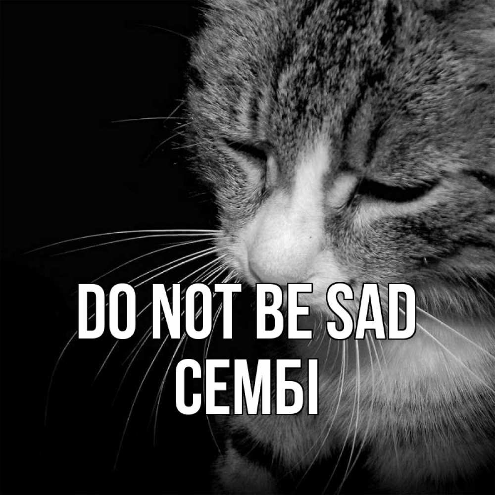 Greetings card с именем, СЕМБІ Do not be sad грустный котик Greetings with text for free download 