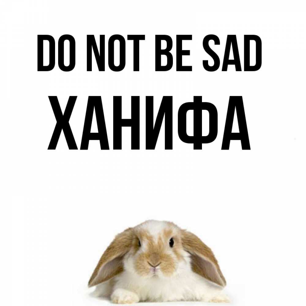 Greetings card с именем, ХАНИФА Do not be sad коричнево белый заяц с большими ушками Greetings with text for free download 