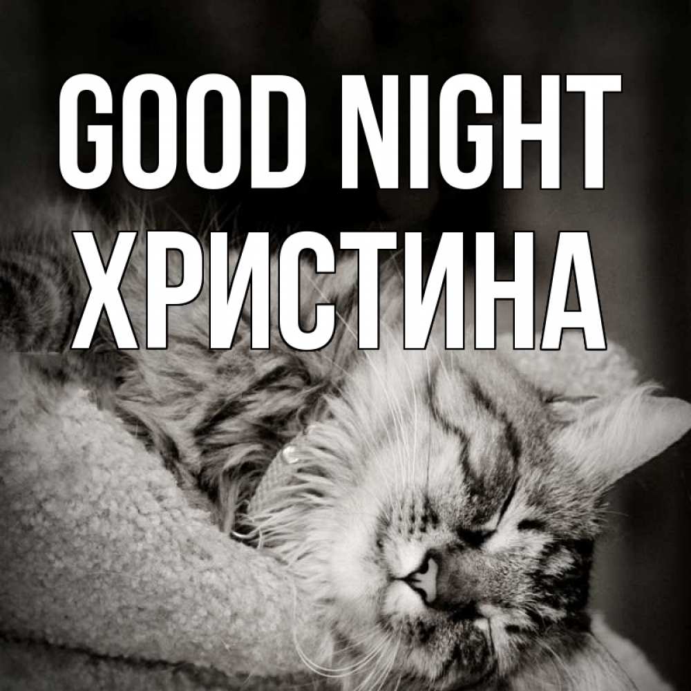 Greetings card с именем, Христина Good night котярик пушистый Greetings with text for free download 