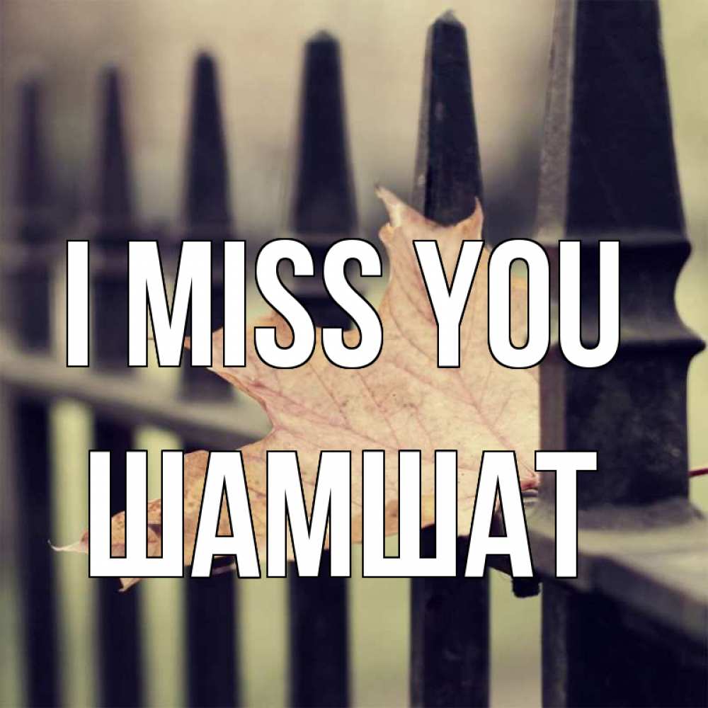 Greetings card с именем, ШАМШАТ I miss you очень скучно Greetings with text for free download 