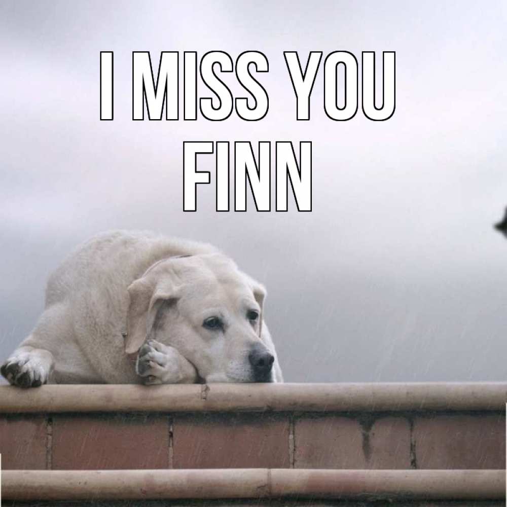 Greetings card с именем, Finn I miss you ждет Greetings with text for free download 