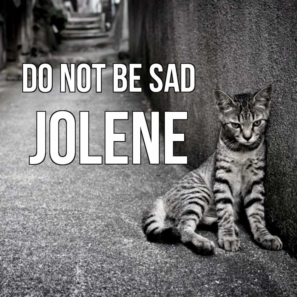 Greetings card с именем, Jolene Do not be sad скучающий котик Greetings with text for free download 