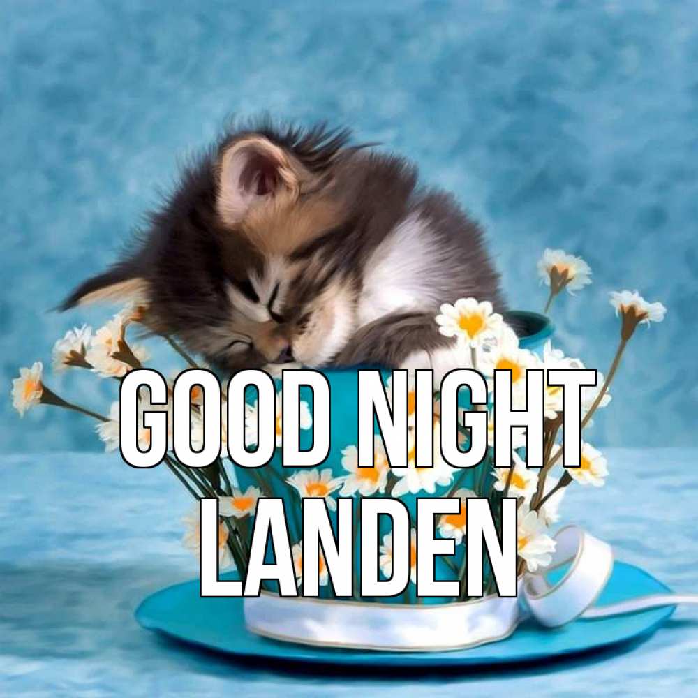 Greetings card с именем, Landen Good night котенок спит в кружке с блюдцем Greetings with text for free download 