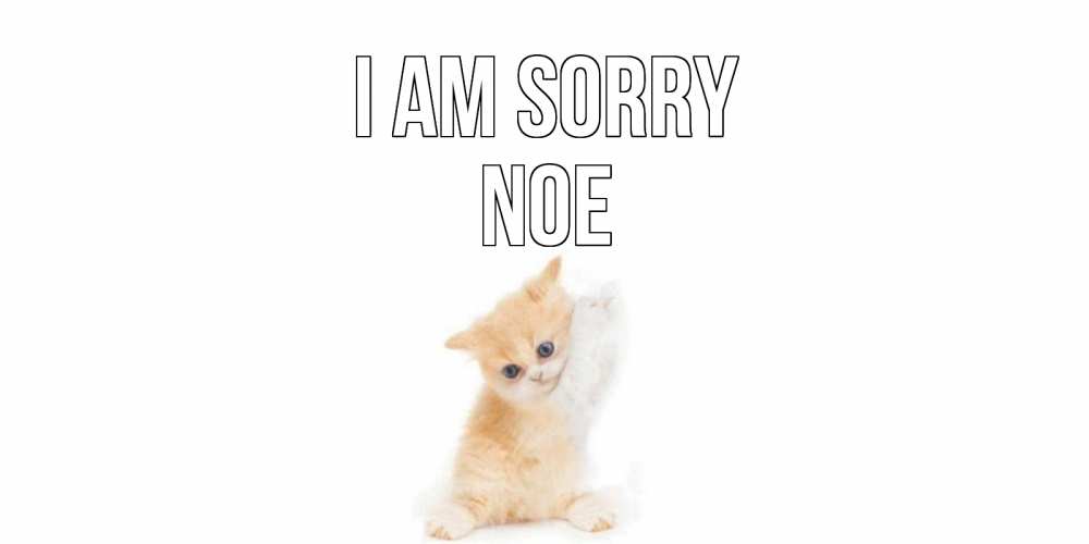 Greetings card с именем, Noe I am sorry кот Greetings with text for free download 