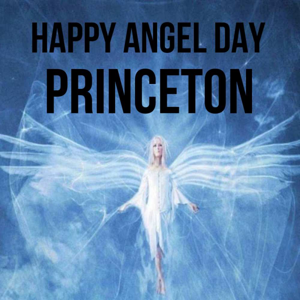 Greetings card с именем, Princeton happy angel day голубой фон и крылья как у стрекозы Greetings with text for free download 