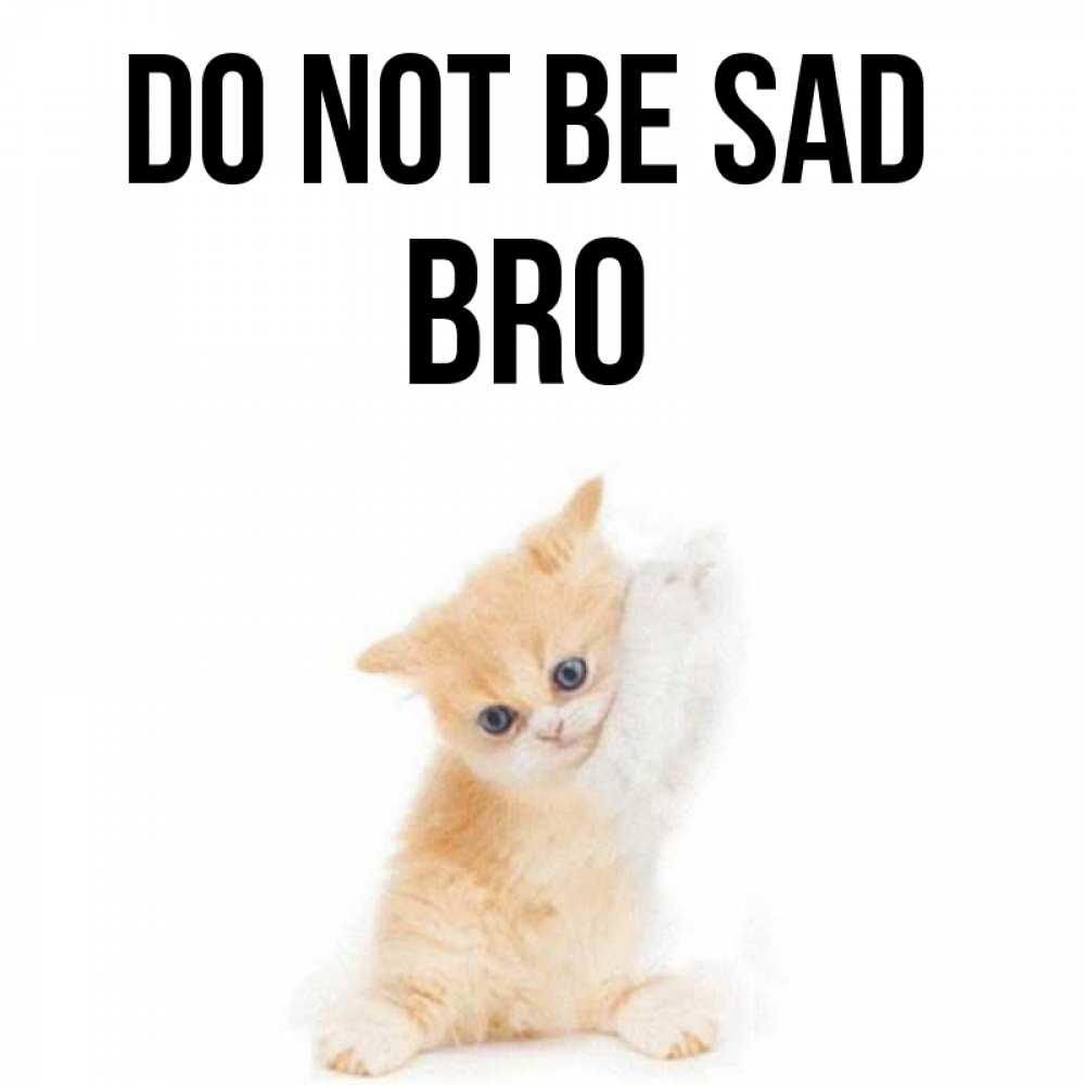 Greetings card с именем, bro Do not be sad просящий кот Greetings with text for free download 