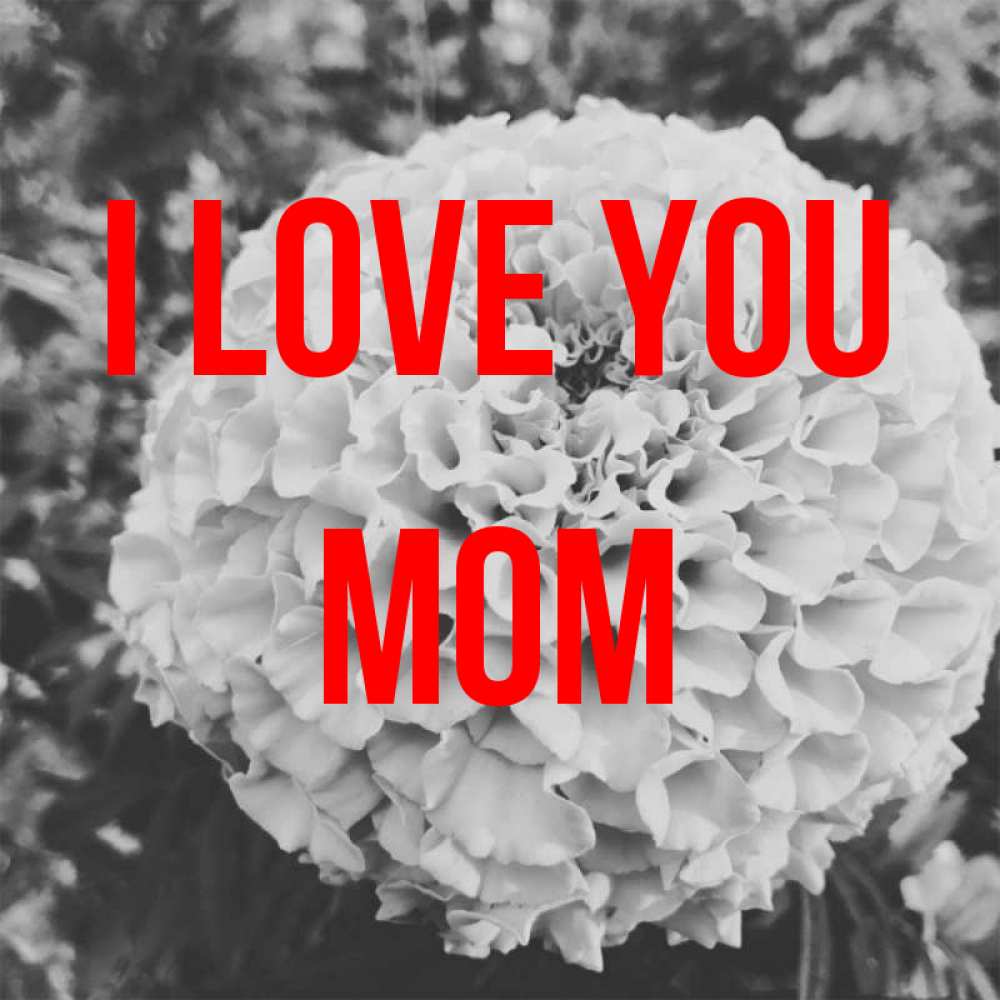 Greetings card с именем, mom I love you подпись Greetings with text for free download 