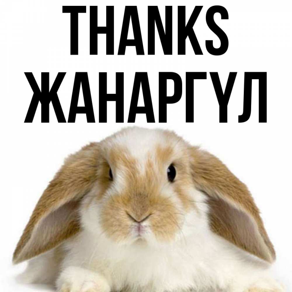 Greetings card с именем, ЖАНАРГҮЛ Thanks коричнево белый заяц Greetings with text for free download 