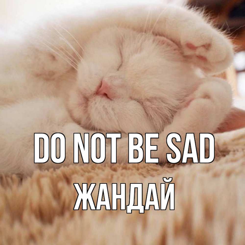 Greetings card с именем, Жандай Do not be sad белый кот Greetings with text for free download 